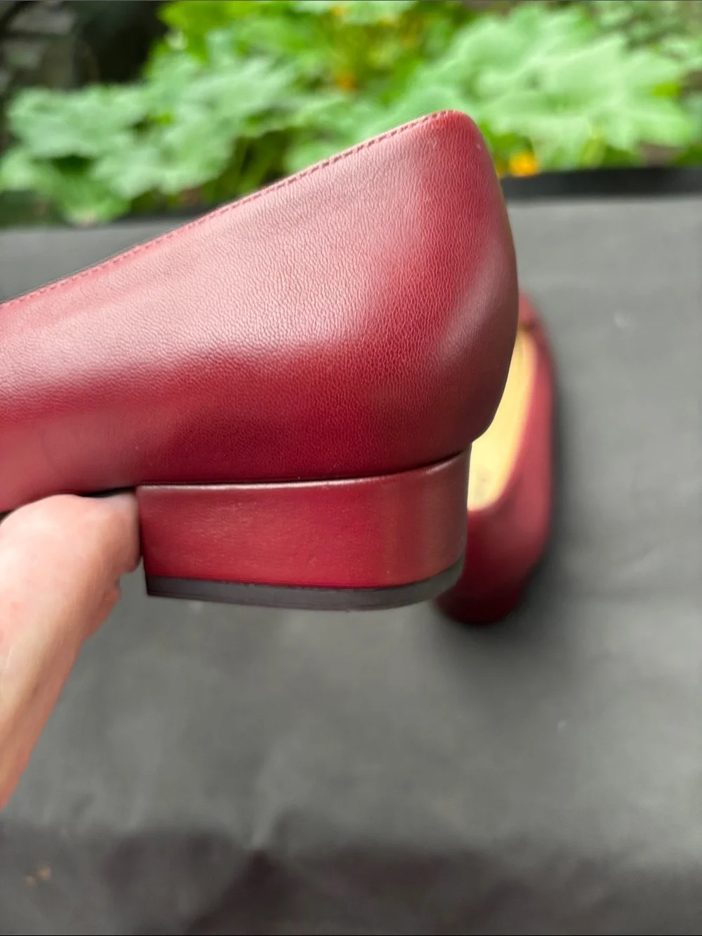 Trotters sleek pointed